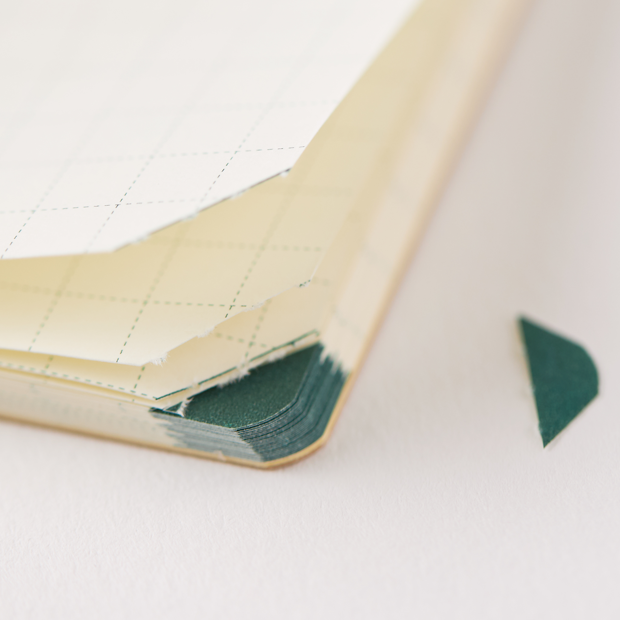 ページコーナーにポッチング(切り取りミシン）