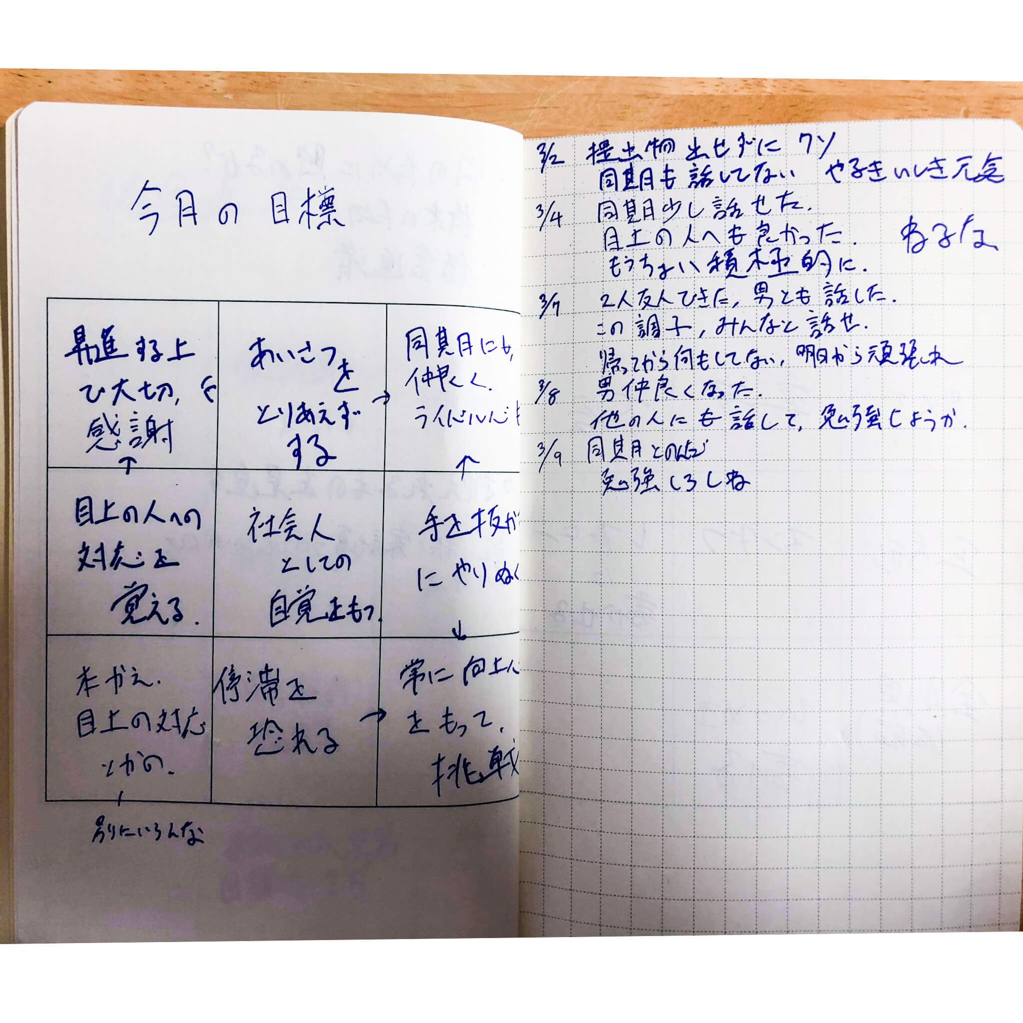 M9notes身近な記入事例 今月の目標 仕事が3倍速くなる魔法の9マスノート M9notes M9notes身近な記入事例 今月の目標 仕事が3倍速くなる魔法の9マスノート M9notes