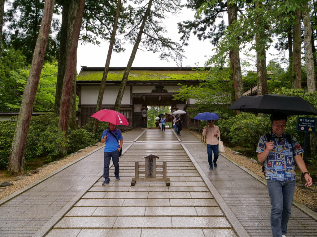 帰るころに雨が強くなってきました。