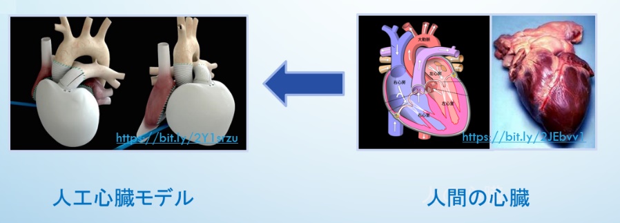 図３　たとえば「人工心臓」は、「人間の心臓」をまねて作られる。Arranged by 飯箸