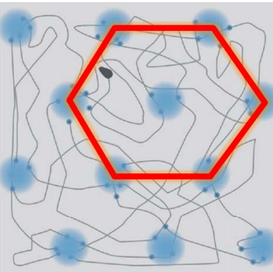 図12.格子細胞の概念図（〝脳の中で、自分が今どこにいるのかを把握し 海馬でマップを作成する複数の空間把握細胞の発見″