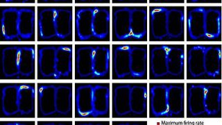 [飯箸泰宏先生の、M9notesと知能のいい話] 第５話：場所細胞、格子細胞、M9notes